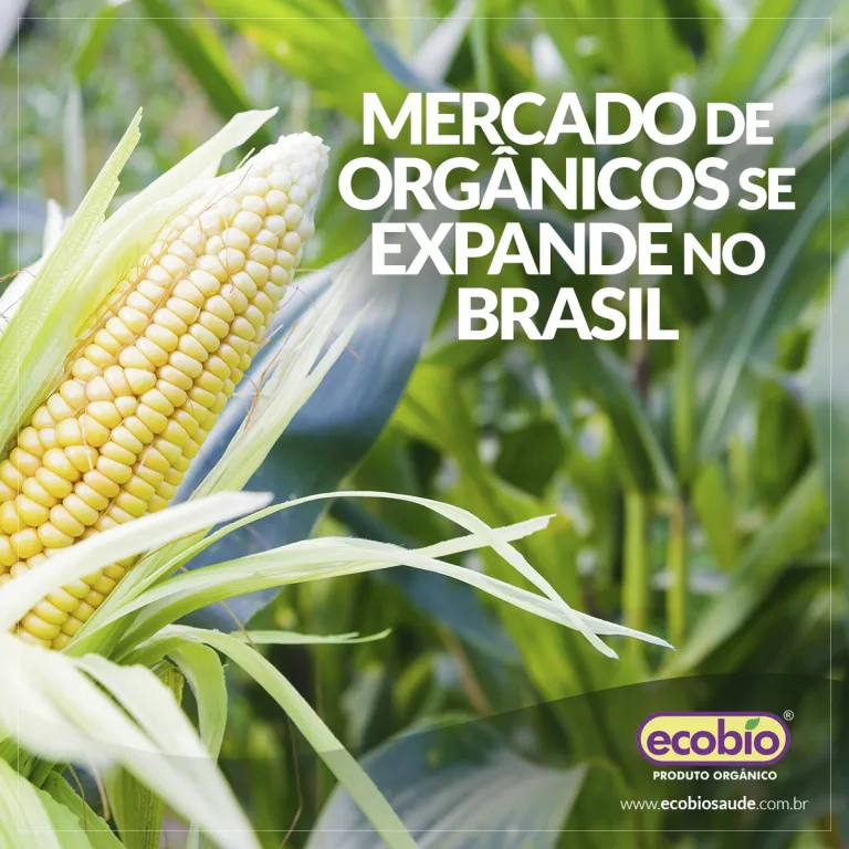 Mercado de Orgânicos se expande no Brasil